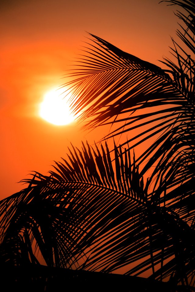 Photography Of Dawn