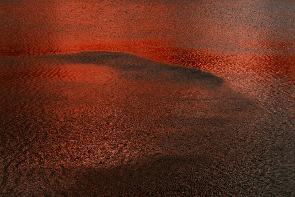 Ripples On The Water