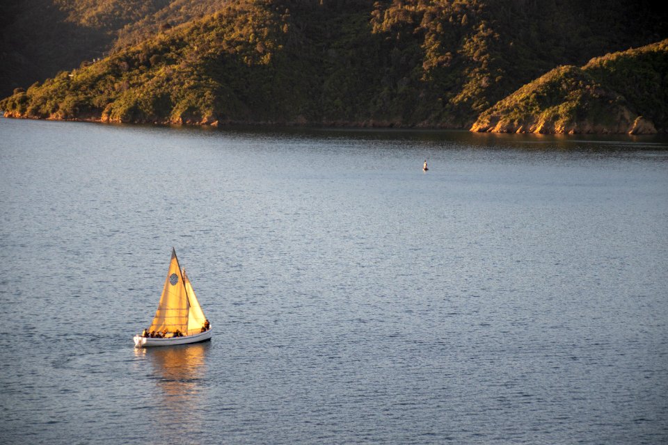 White Sail Boat On Water Near Land