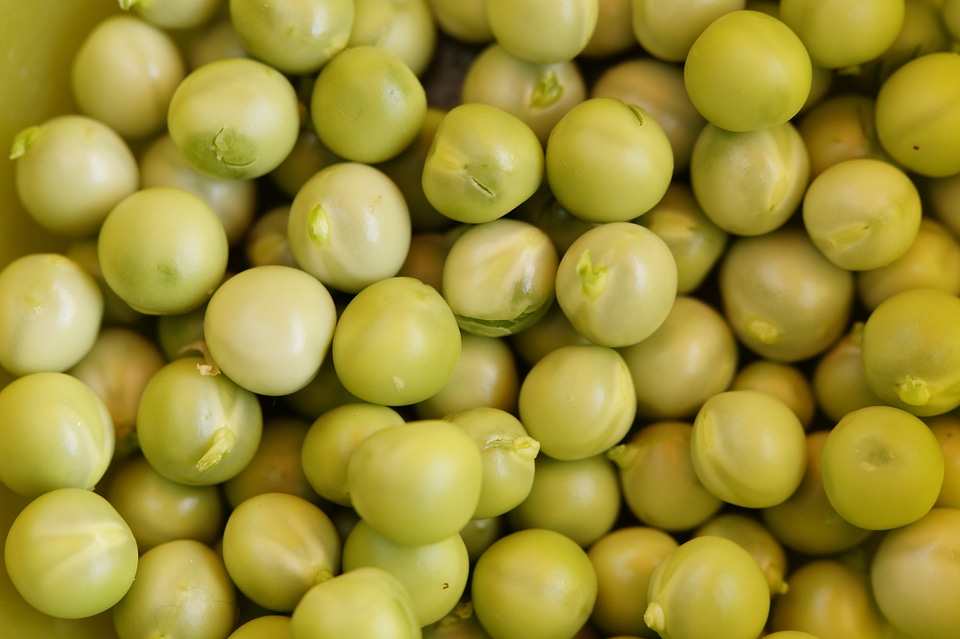Pea structure texture