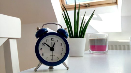 Round Blue Alarm Clock With Bell On White Table Near Snake Plant
