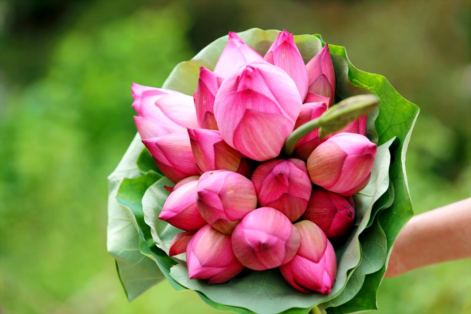Pink Petaled Flower Bouquet