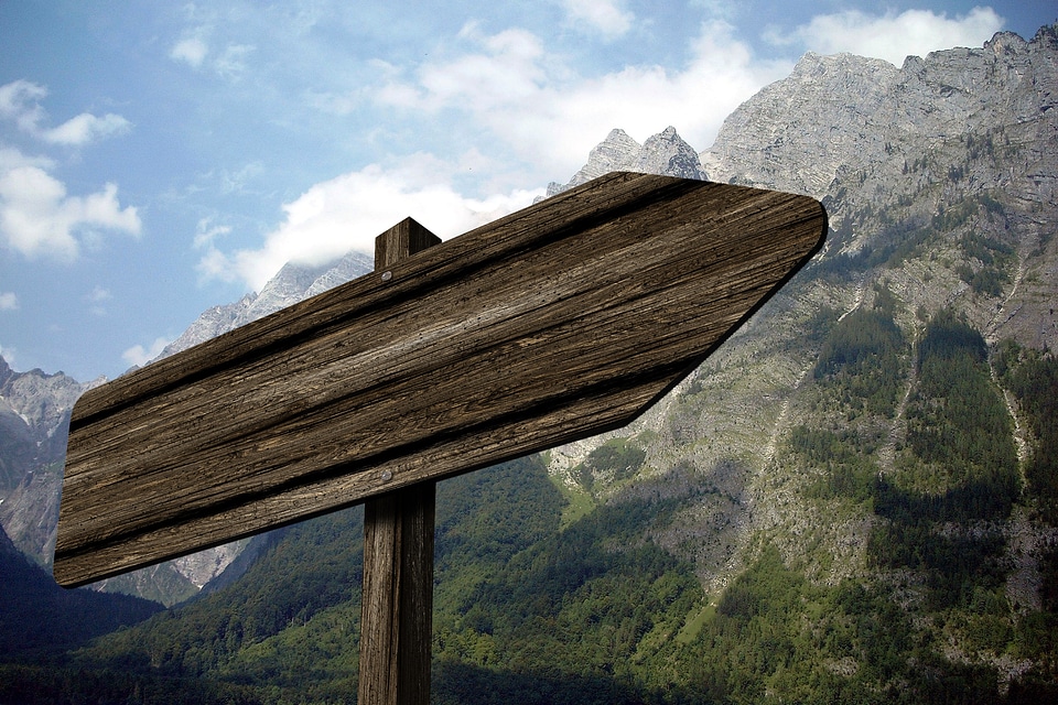 Watzmann alpine wood