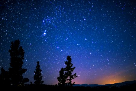 Silhouette Of Trees And Mountain Under Blue Starry Sky photo