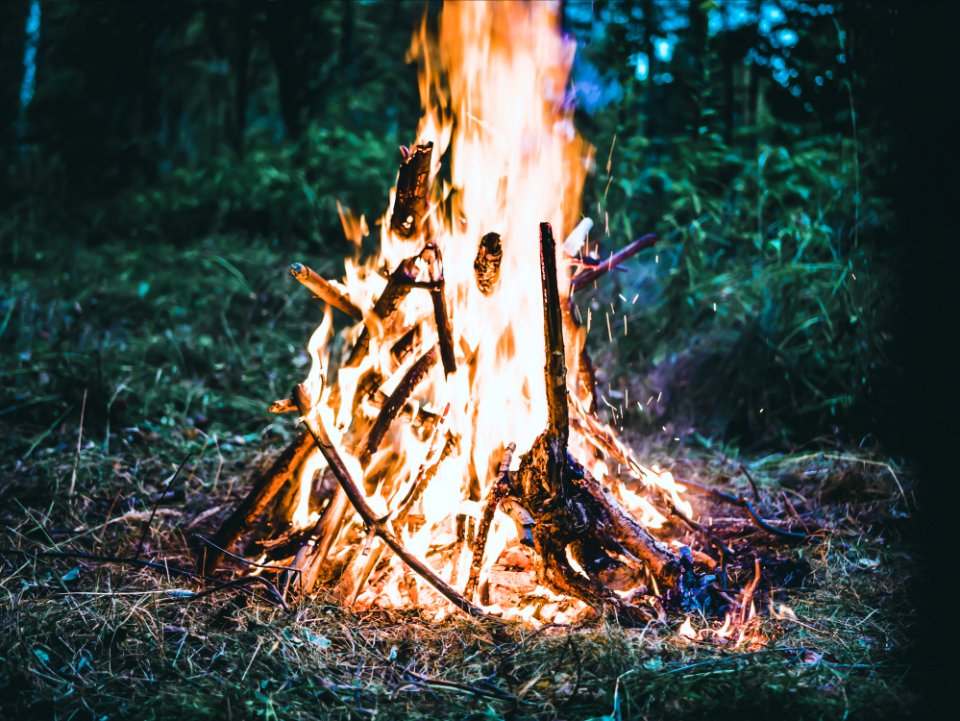 Bonfire On Forest Screengrab