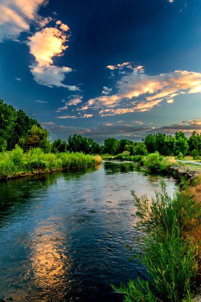 Body Of Water And Green Field Under Blue Sky Photo