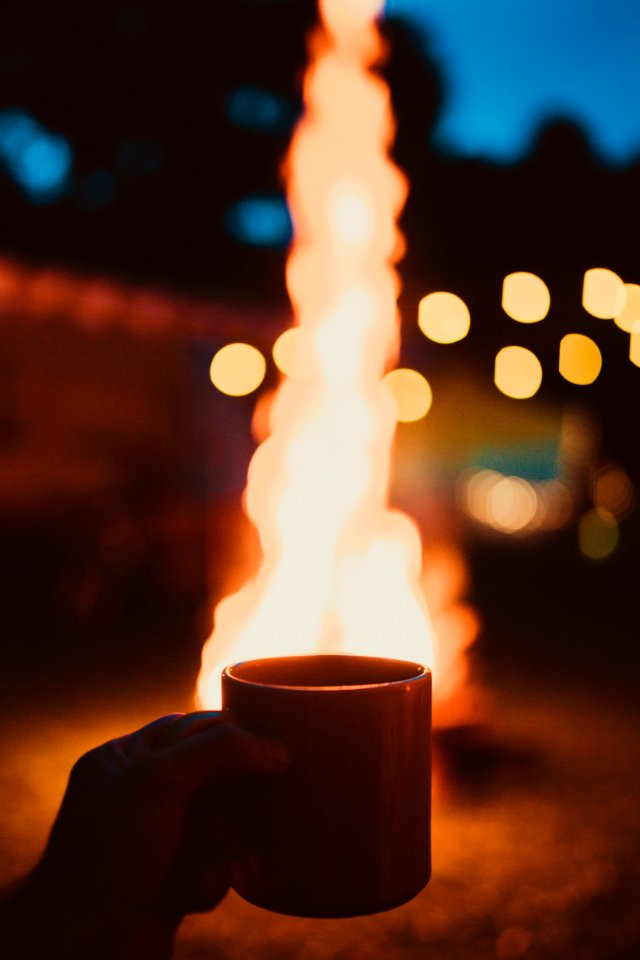Photo Of Person Holding Mug And Watching Bonfire