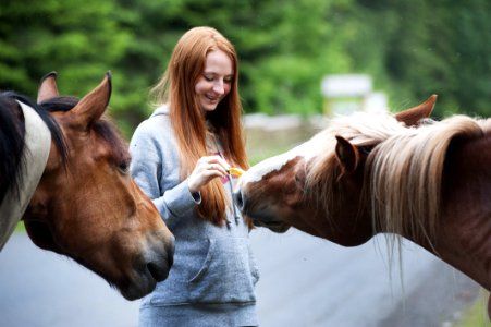 Close-Up Photography Of Woman Near Horses photo