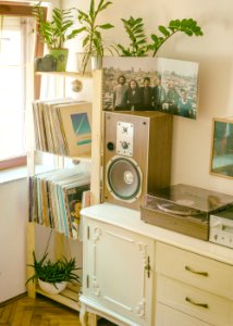 Photography Of Decorations At Home