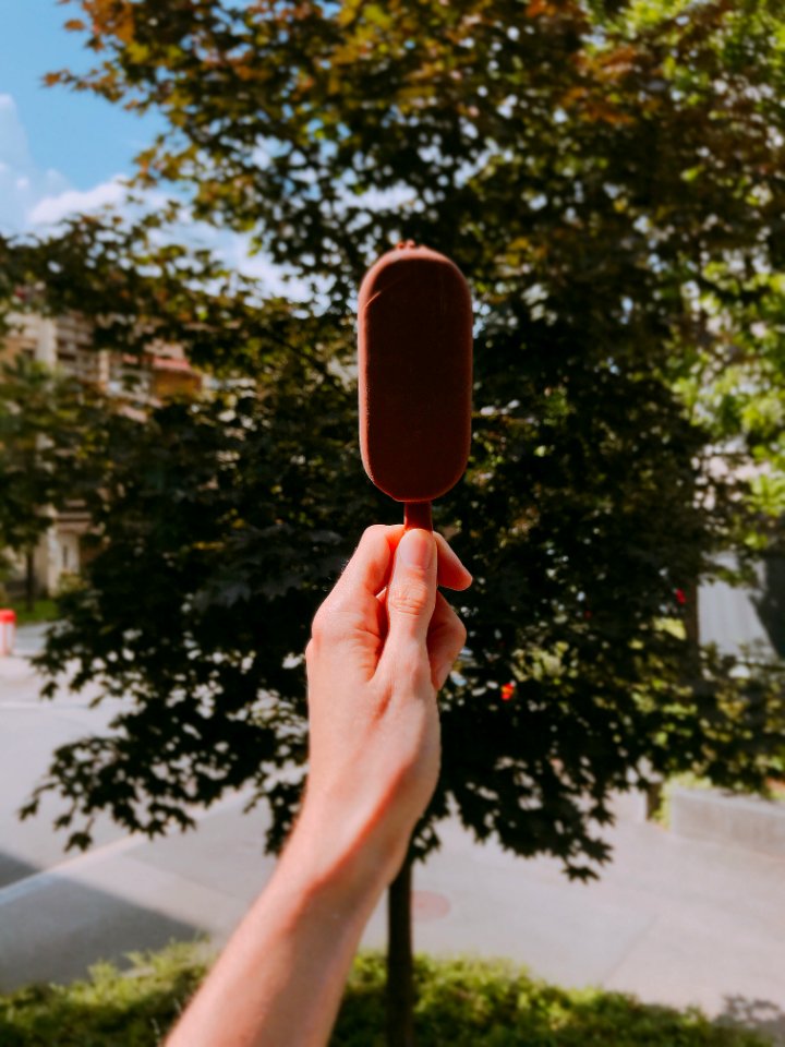 Person Holding Chocolate Popsicle