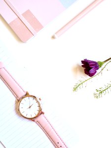 Round Gold-colored Analog Watch At 246 On Top Of White Paper photo