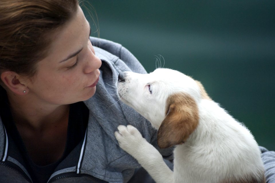 Woman Wearing Gray Jacket Beside White Puppy