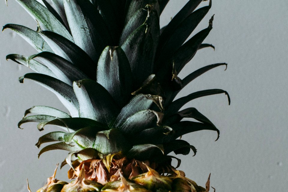 Close Up Photo Of Green Pineapple