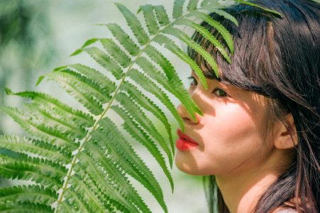 Green Fern Plant
