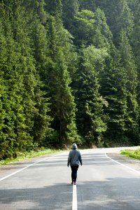 Person Walking On Road Near Trees photo