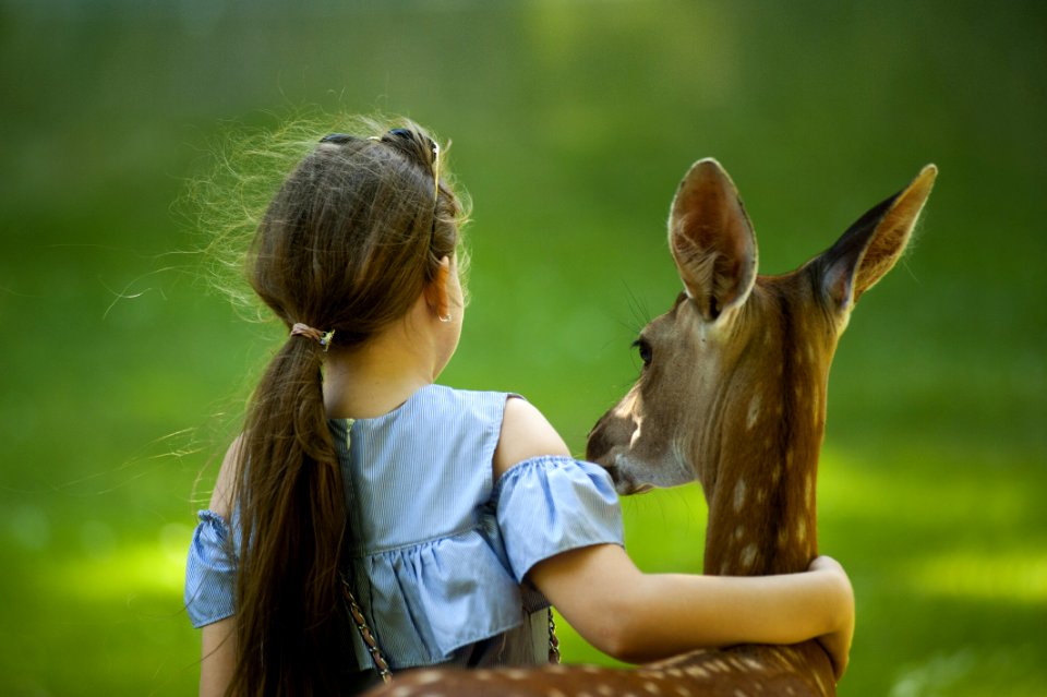 Girl Wearing Blue Top With Her Hand Around A Deer