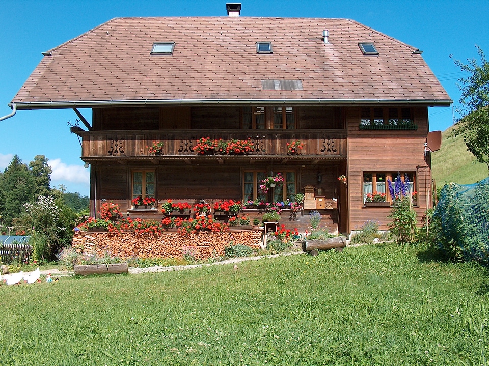 Geranium rustic old house