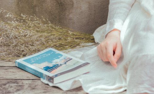 Adult Book Daylight