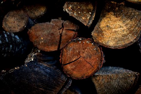 Stack Of Wood Logs photo