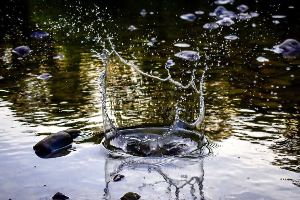 Splat Of Water Photo
