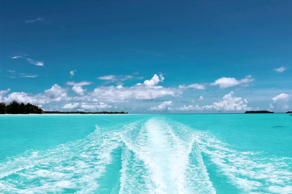 Scenic View Of The Sea