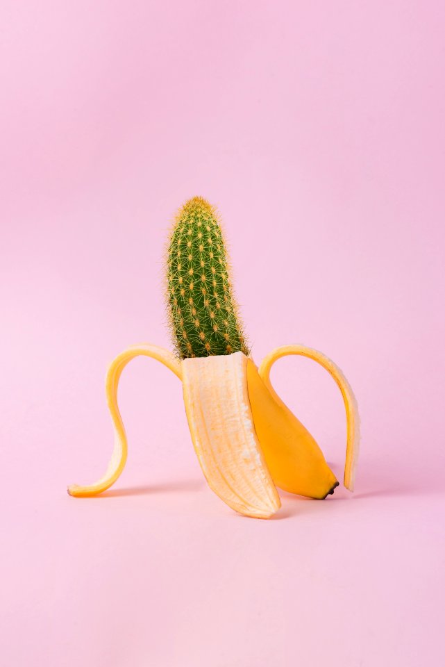 Edited Photo Of Banana And Cactus