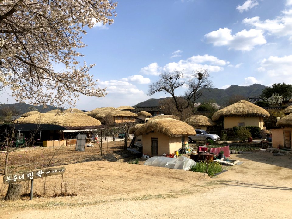 Thatching Village Tree Hut