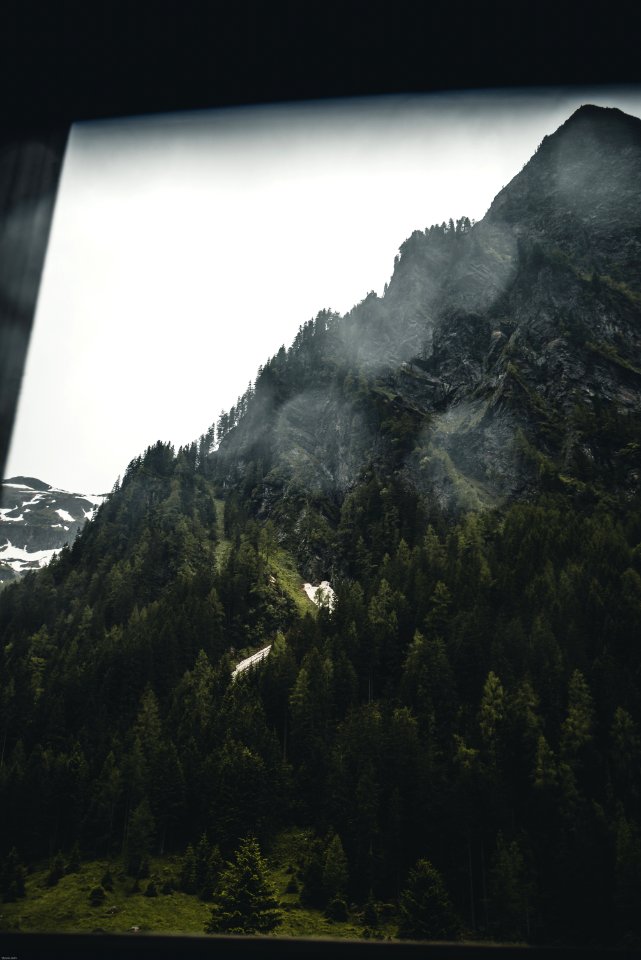Mountain Ranges With Trees Screengrab