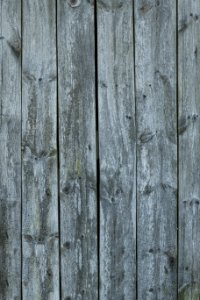 Wood Wall Texture Plank