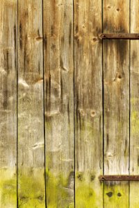 Wood Plank Wall Texture photo