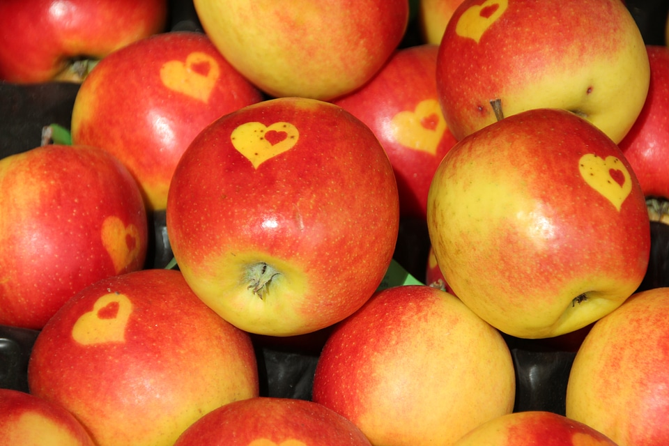 Healthy vegetarian vitamins