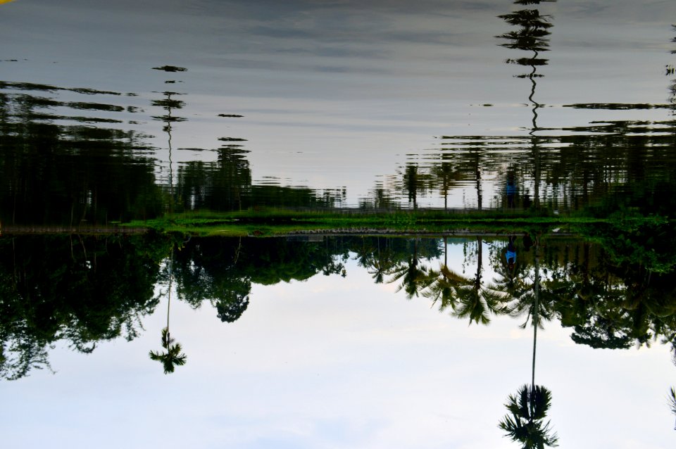 Reflection Water Nature Sky