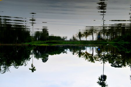Reflection Water Nature Sky photo
