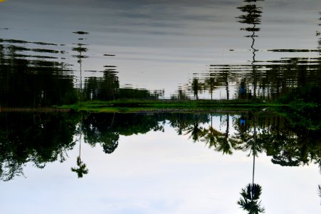 Reflection Water Nature Sky