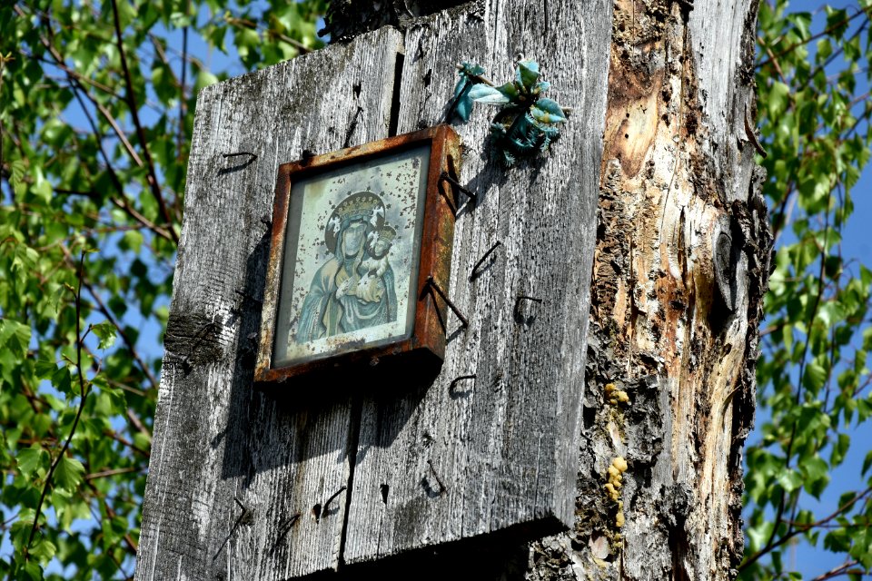Tree Trunk Branch Birdhouse