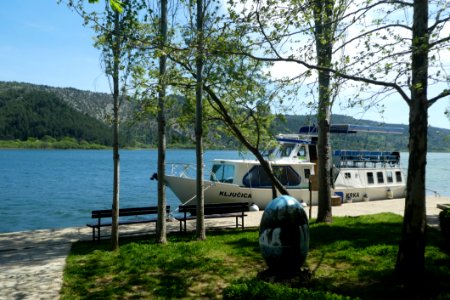 Lake Tree Vehicle Boat photo