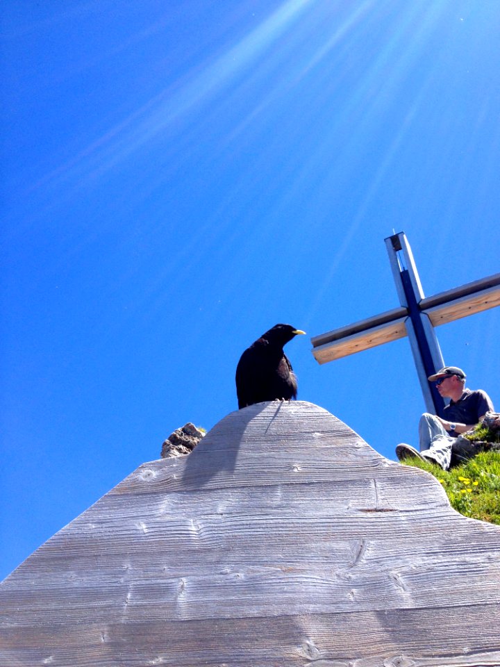 Sky Mountain Cloud Bird