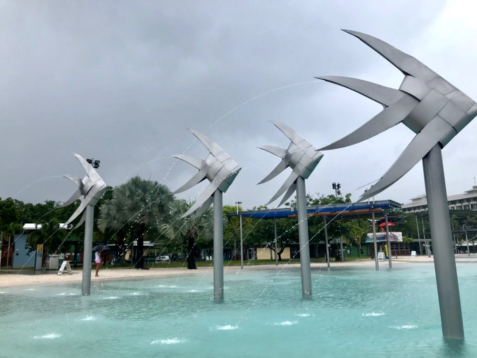 Water Sky Tourist Attraction Tree