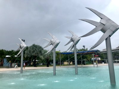 Water Sky Tourist Attraction Tree