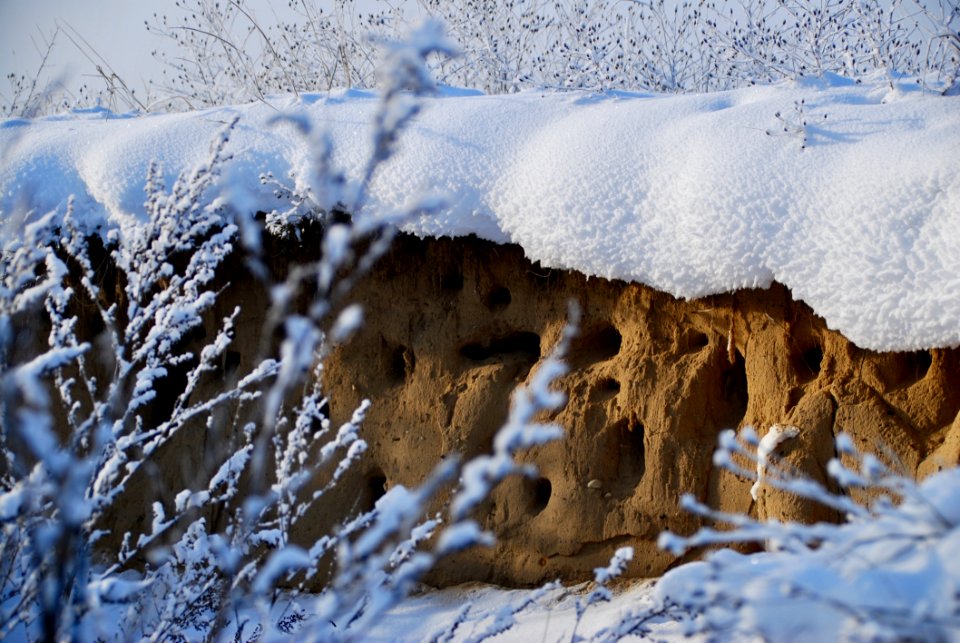 Snow Winter Freezing Frost