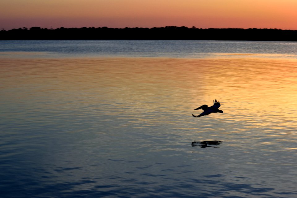 Sky Water Calm Sunrise