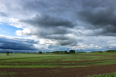 Sky Cloud Grassland Field photo
