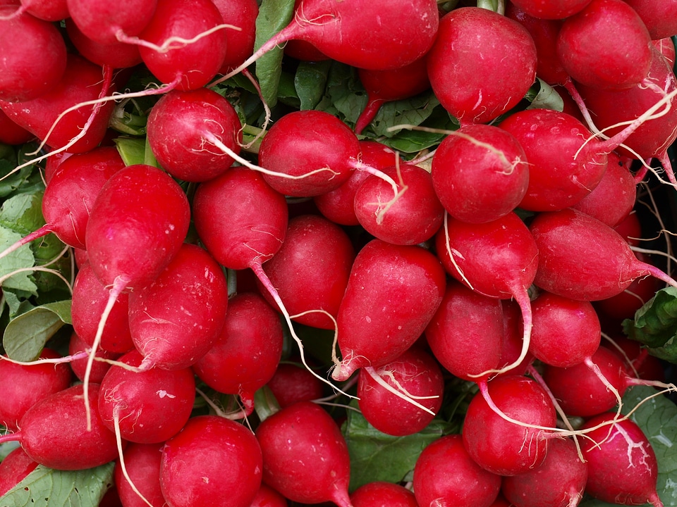 Red vegetarian eat