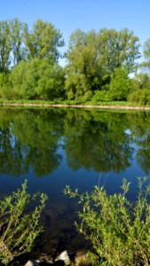 Reflection Water Nature Waterway photo