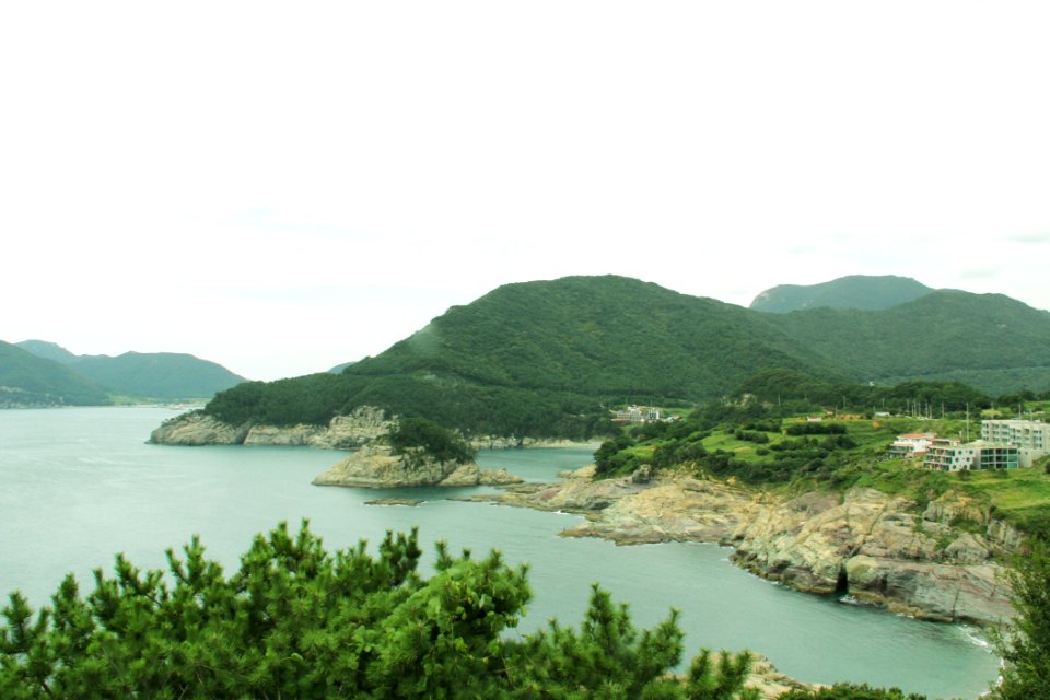 Coast Vegetation Promontory Loch
