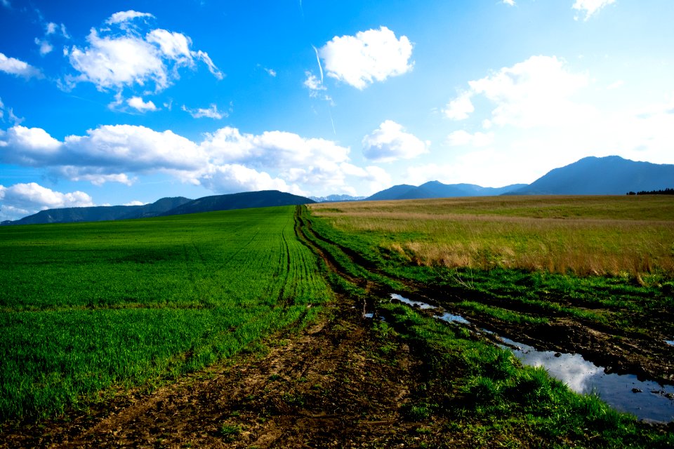 Grassland Field Sky Plain photo