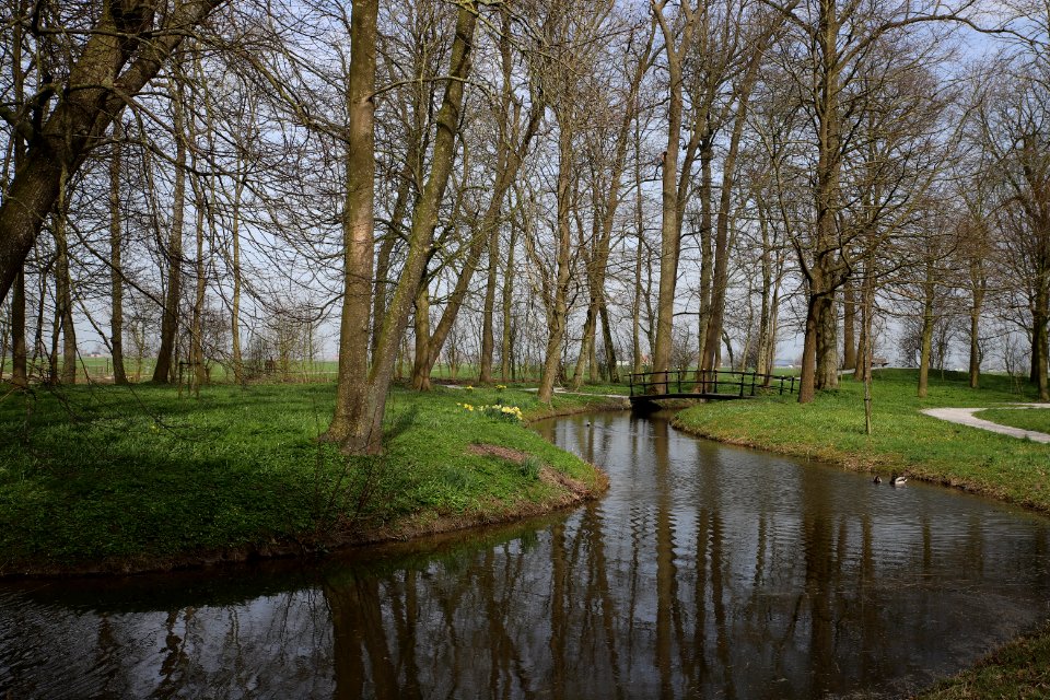 Waterway Reflection Water Tree