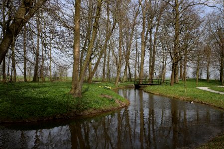 Waterway Reflection Water Tree photo