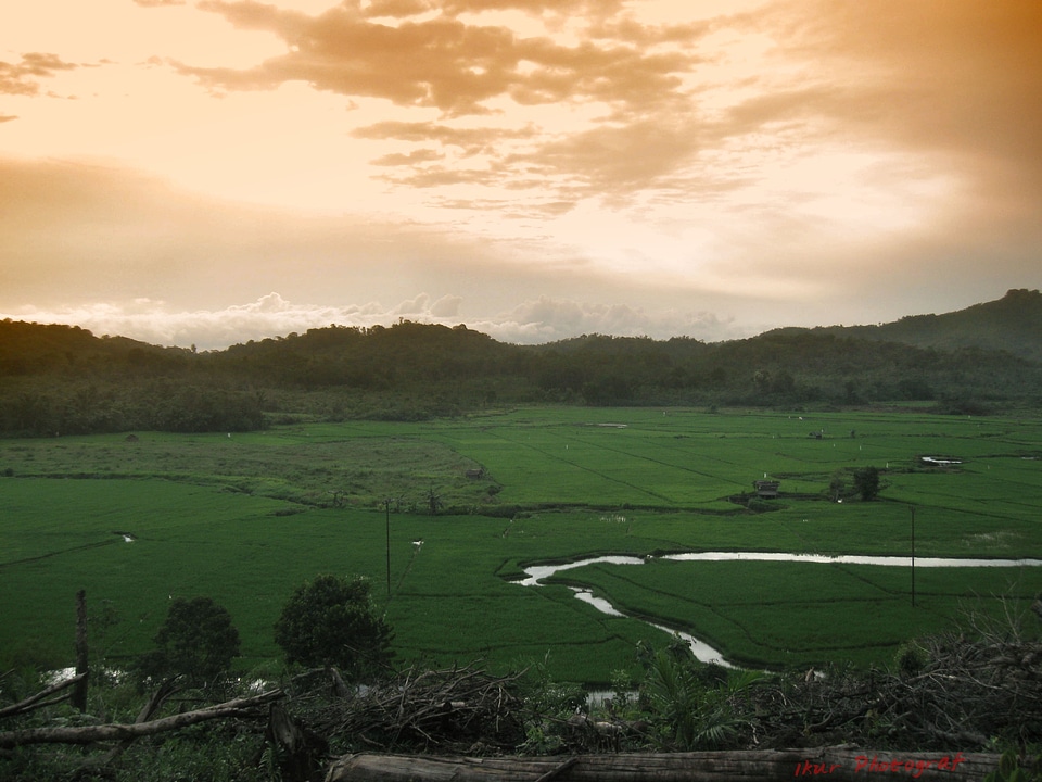 Landscape wilderness scenery