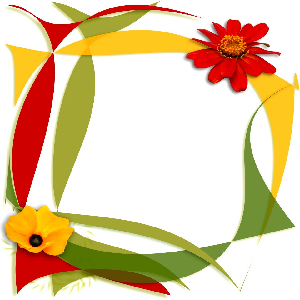 Flower Flowering Plant Yellow Flora